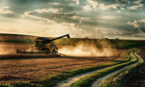 ​74,3 млн тон - в Украине установлен очередной рекорд по валовому сбору зерна!